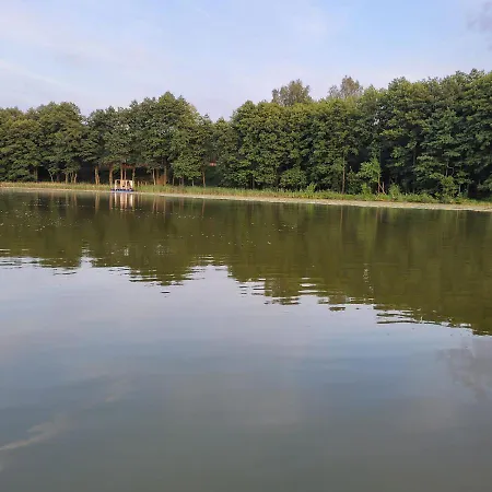 Lesna Kryjowka W Lesie * Wersk