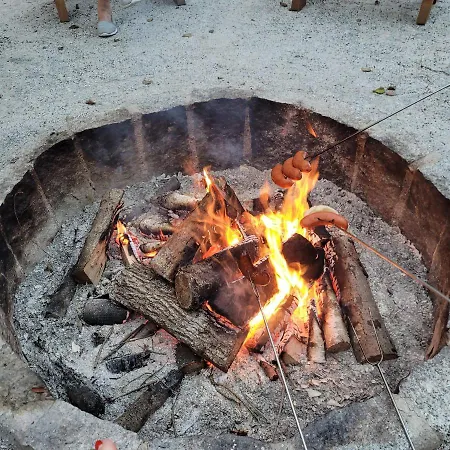 Lesna Kryjowka W Lesie