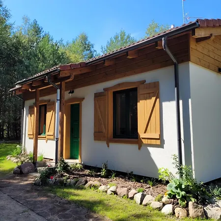 Lesna Kryjowka W Lesie