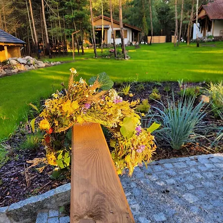 Lesna Kryjowka W Lesie *