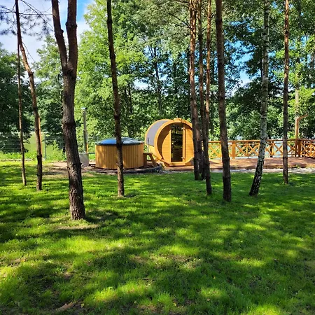 Lesna Kryjowka W Lesie