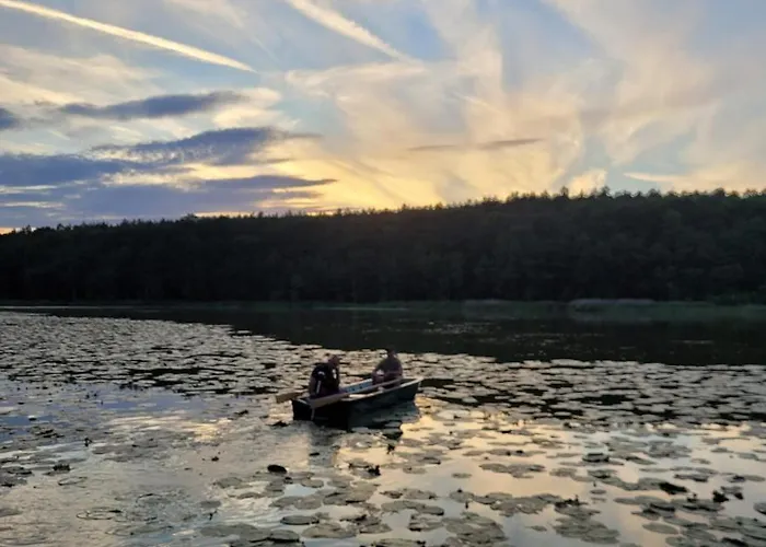 Dom wakacyjny Leśna Kryjówka W Lesie