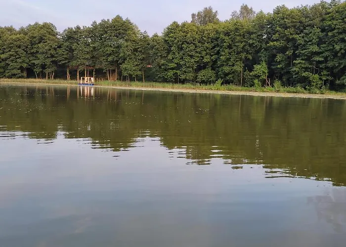 Lesna Kryjowka W Lesie * Wersk