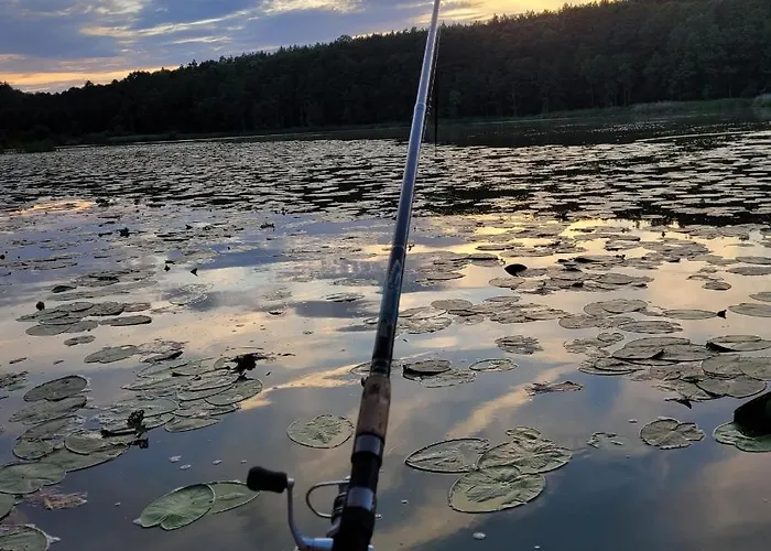 Dom wakacyjny Leśna Kryjówka W Lesie *