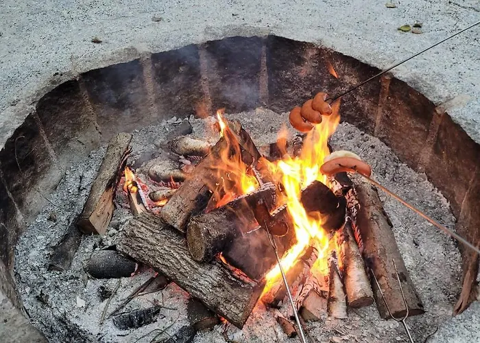 Lesna Kryjowka W Lesie