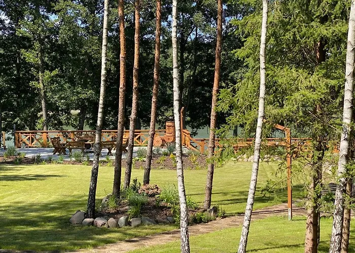 Leśna Kryjówka W Lesie Dom wakacyjny *