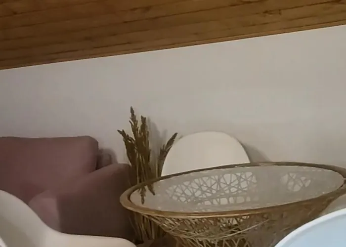 Lesna Kryjowka W Lesie *