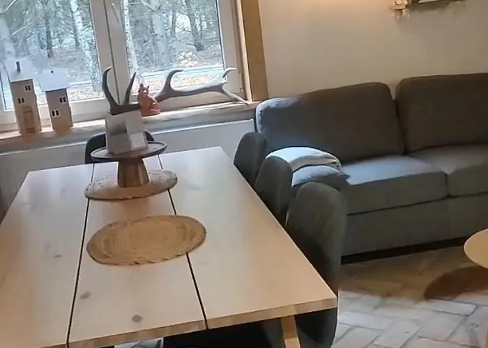 Tatil Evi Lesna Kryjowka W Lesie