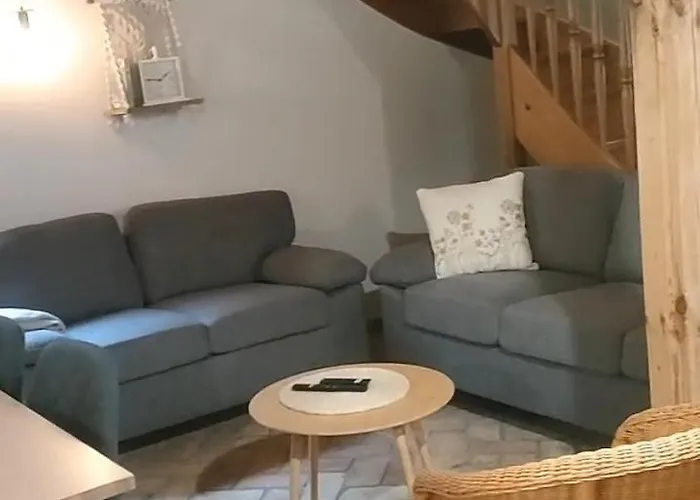 Lesna Kryjowka W Lesie