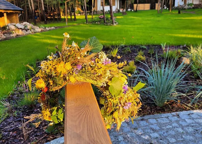 Lesna Kryjowka W Lesie *